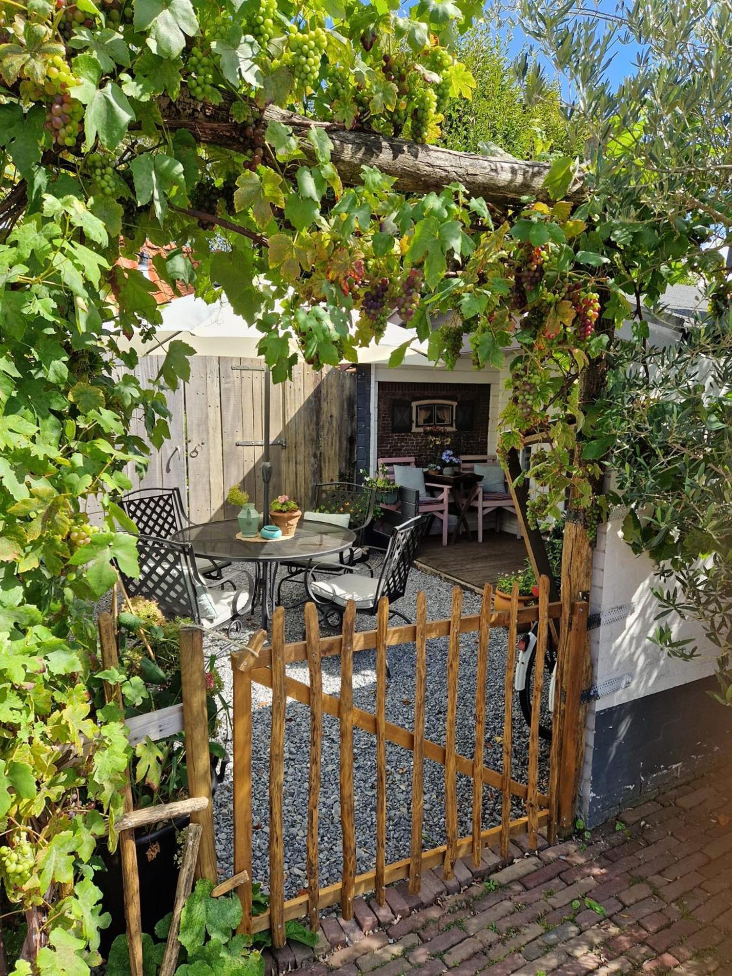 Bed & Bentwoud Bed & Breakfast Benthuizen Bagian luar foto